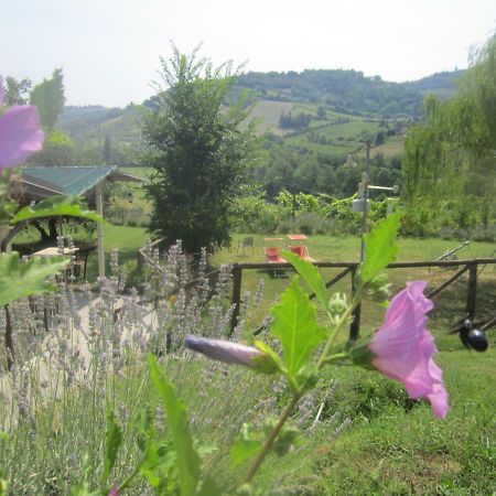 Le Spighe Agriturismo 切塞纳 外观 照片