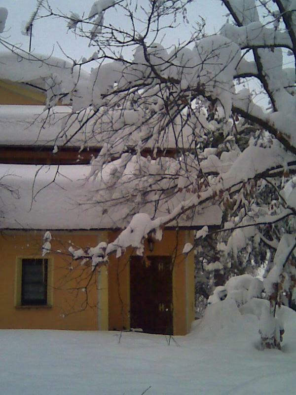 Le Spighe Agriturismo 切塞纳 外观 照片