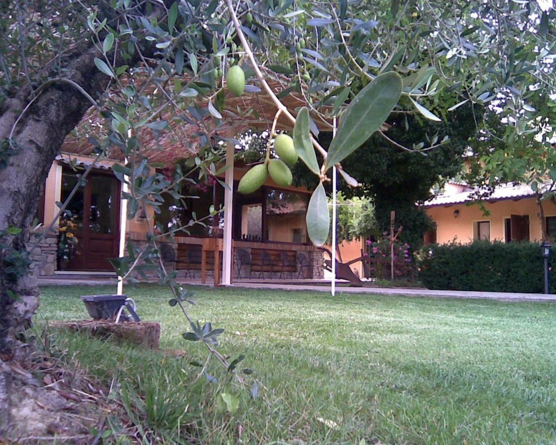 Le Spighe Agriturismo 切塞纳 外观 照片