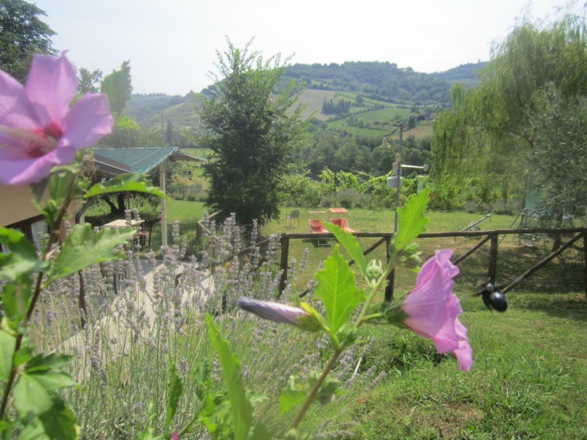Le Spighe Agriturismo 切塞纳 外观 照片
