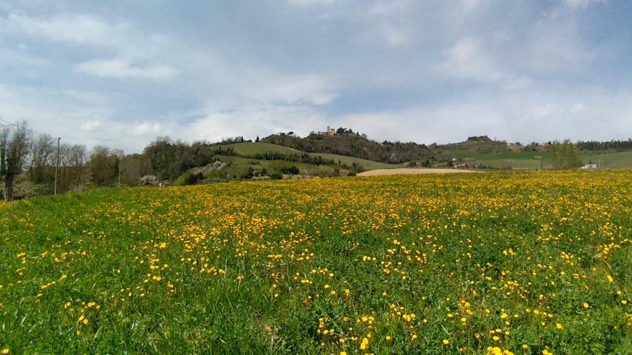 Le Spighe Agriturismo 切塞纳 外观 照片