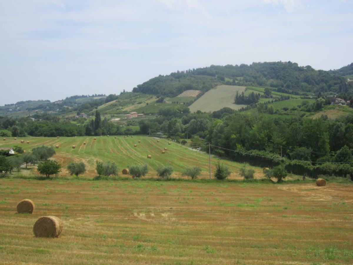 Le Spighe Agriturismo 切塞纳 外观 照片