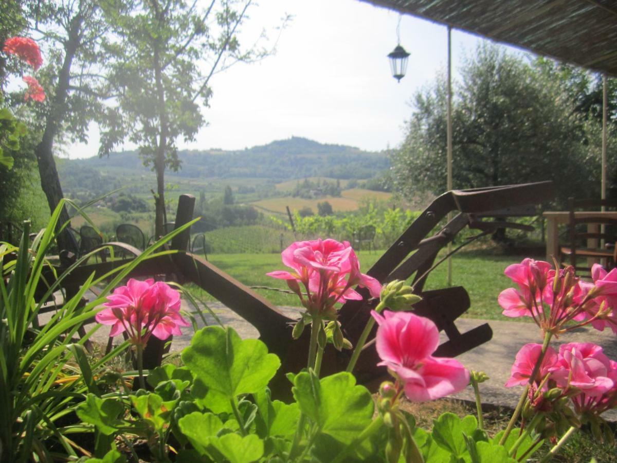 Le Spighe Agriturismo 切塞纳 外观 照片