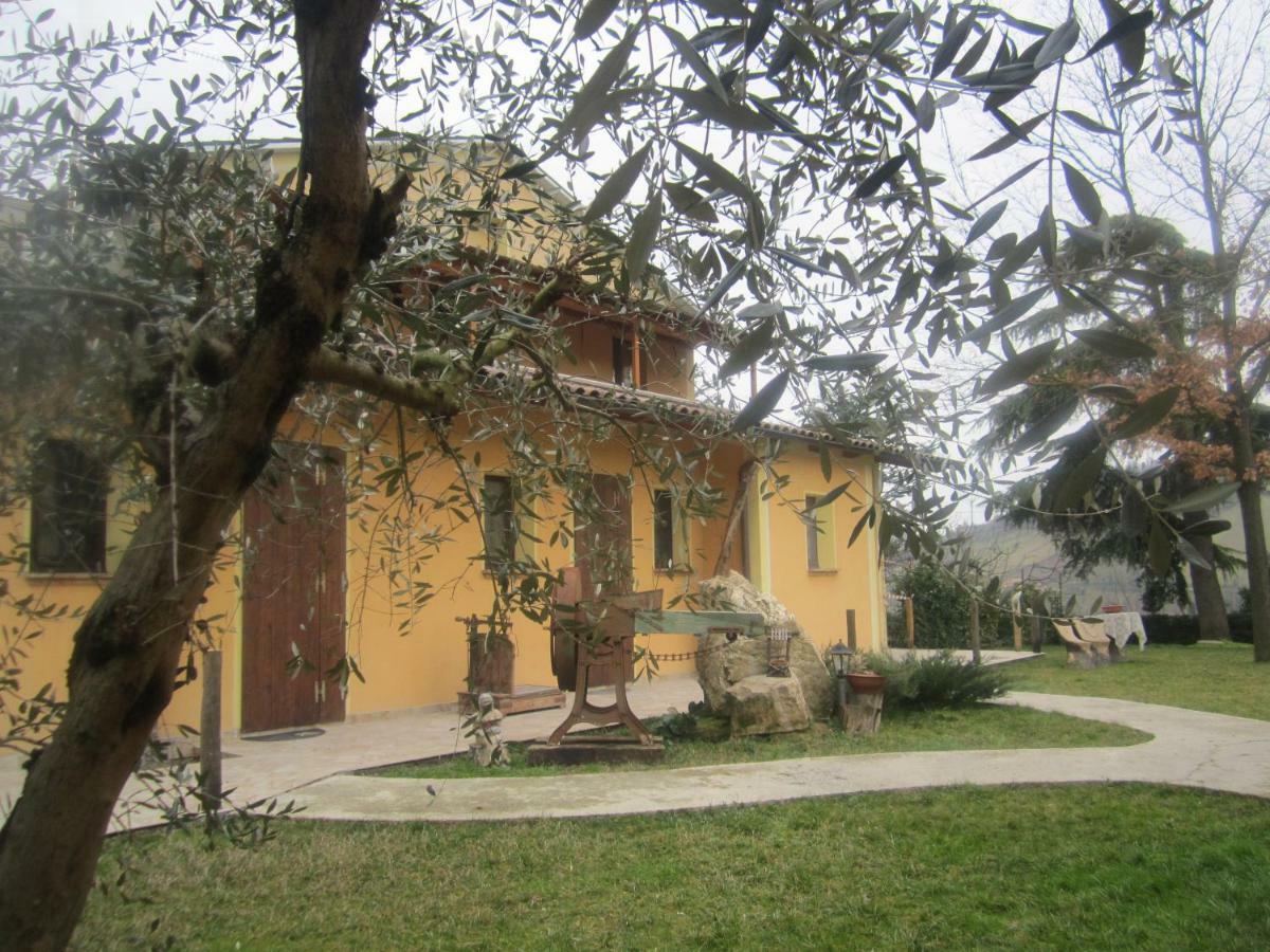 Le Spighe Agriturismo 切塞纳 外观 照片