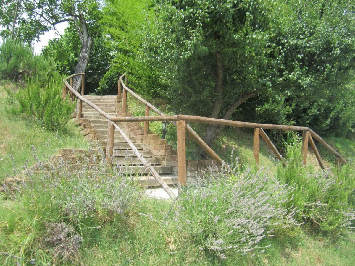 Le Spighe Agriturismo 切塞纳 外观 照片