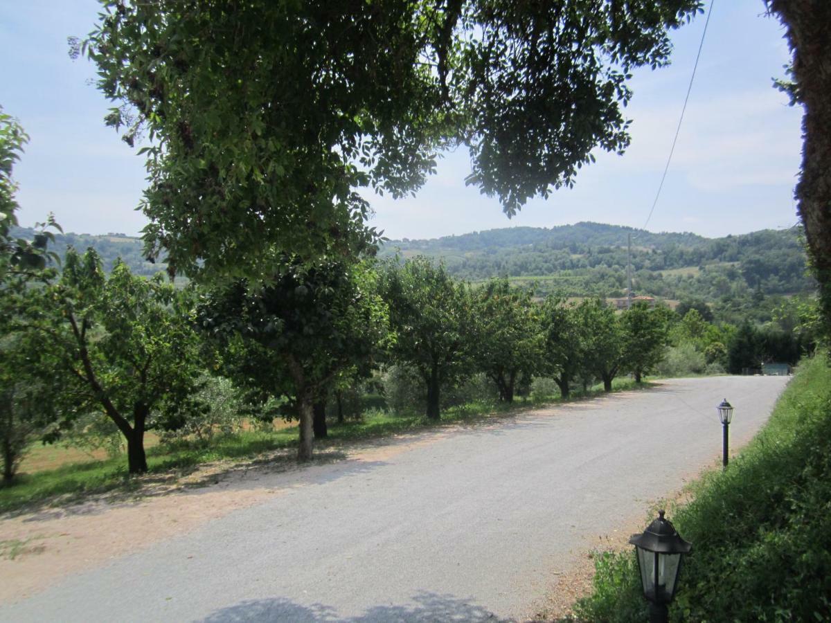 Le Spighe Agriturismo 切塞纳 外观 照片