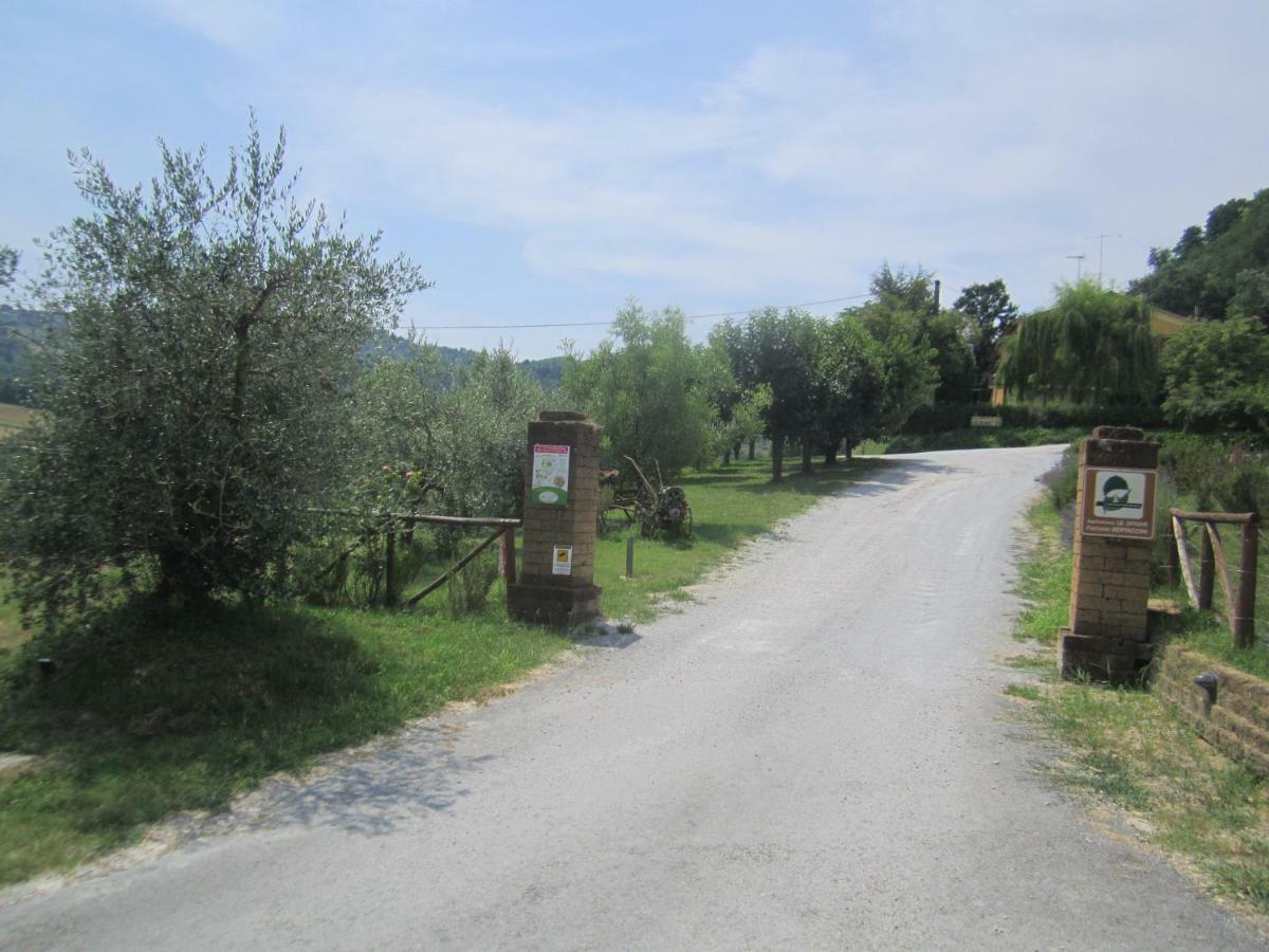 Le Spighe Agriturismo 切塞纳 外观 照片
